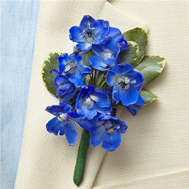 Country Wedding Boutonniere- Delphinium