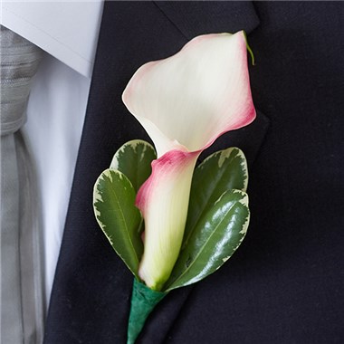 Pink Mini Calla Lilies Boutonniere&reg;